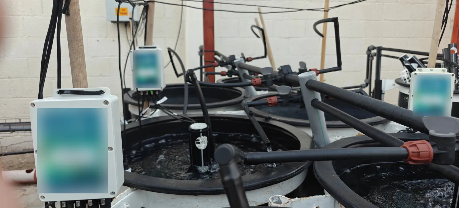 Omni Genesis controllers mounted beside outdoor seawater algae cultivation tanks, with probes and aeration lines running into each tank