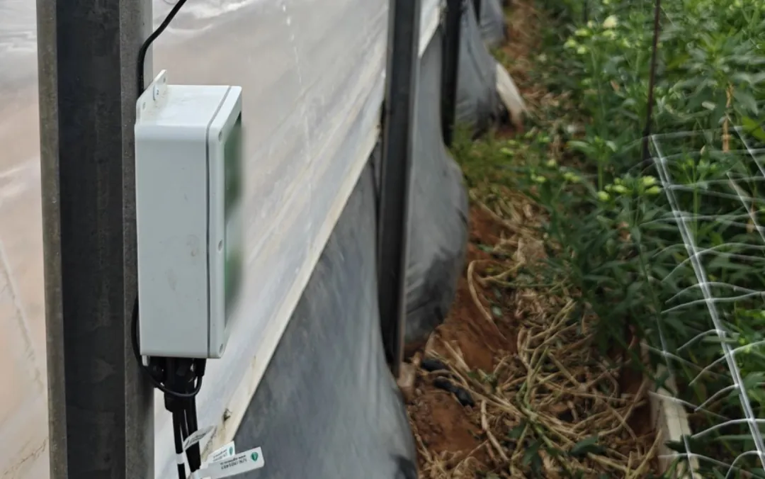 An Omni Genesis controller mounted on a greenhouse upright beside a cut flower bed, with sensor cables running down into the soil